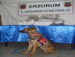 Jandarma’dan uyuşturucu operasyonu